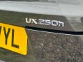Lexus Ux 2.0 250h F Sport E-CVT Euro 6 (s/s) 5dr 57