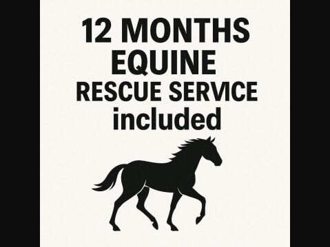 Renault Master Alexander Horse Box 2