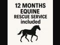 Renault Master Alexander Horse Box 2