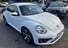 Volkswagen Beetle 1.2 TSI Design DSG Euro 6 (s/s) 3dr