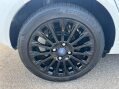 Ford Fiesta 1.0T EcoBoost Titanium Euro 5 (s/s) 5dr 19