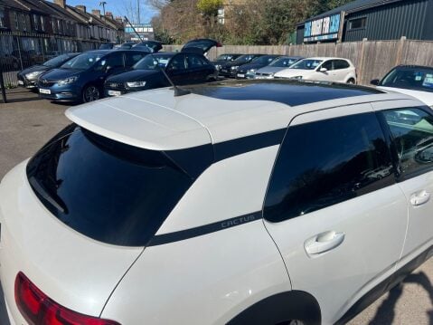 Citroen C4 Cactus 1.2 PureTech GPF Flair Euro 6 (s/s) 5dr 11