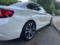 BMW 2 Series 1.5 218i Sport Euro 6 (s/s) 2dr 22