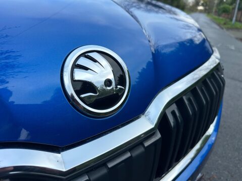 Skoda Kamiq 1.0 TSI SE L SUV 5dr Petrol Manual Euro 6 (s/s) (110 ps) 30