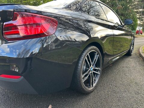 BMW 2 Series 2.0 218i M Sport Auto Euro 6 (s/s) 2dr 21