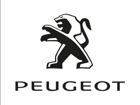 Peugeot Partner 1.6 BlueHDi 855 Professional L1 5dr Stop & Start 51
