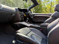 Audi A5 2.0 A5 S Line Special Edition TDI 2dr 39