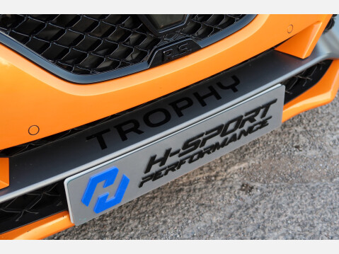 Renault Megane RENAULTSPORT TROPHY 39