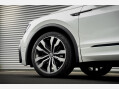 Volkswagen Tiguan R-LINE TDI BMT 4MOTION DSG 20