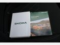 Skoda Karoq 1.5 TSI ACT SportLine DSG Euro 6 5dr 31
