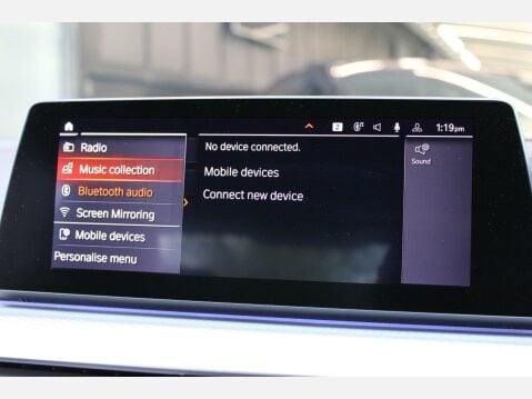 BMW 5 Series 3.0 530d M Sport Auto Euro 6 4dr 33