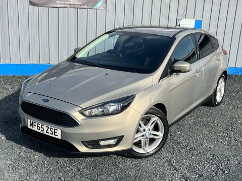 Ford Focus 1.5 TDCi Zetec Euro 6 (s/s) 5dr 49