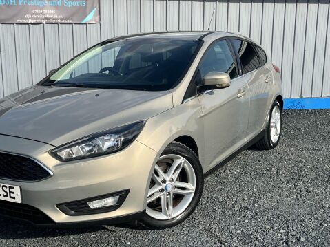 Ford Focus 1.5 TDCi Zetec Euro 6 (s/s) 5dr 22