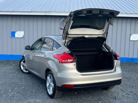 Ford Focus 1.5 TDCi Zetec Euro 6 (s/s) 5dr 43