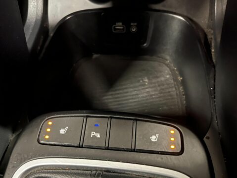 Hyundai SANTA FE 2.2 CRDi Blue Drive Premium 4WD Euro 6 (s/s) 5dr 37