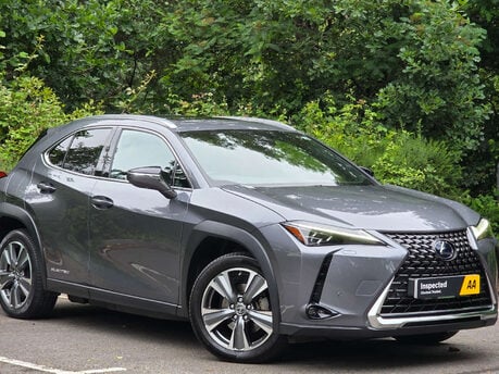 Lexus Ux UX 300E 5dr