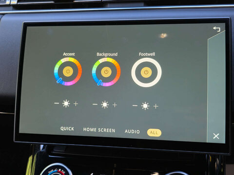 Land Rover Range Rover Sport 3.0 D350 MHEV First Edition SUV 5dr Diesel Auto 4WD Euro 6 (s/s) (350 ps) 51