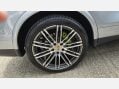 Porsche Cayenne 3.0 V6 E-Hybrid S Platinum Edition SUV 5dr Petrol Plug-in Hybrid TiptronicS 33