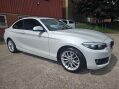 BMW 2 Series 1.5 218I SE Auto 2dr 41