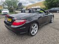 Mercedes-Benz SLK 2.1 SLK 250 AMG Sport CDi BlueEfficiency Auto 2dr 48