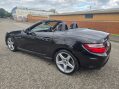Mercedes-Benz SLK 2.1 SLK 250 AMG Sport CDi BlueEfficiency Auto 2dr 46