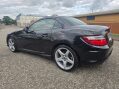 Mercedes-Benz SLK 2.1 SLK 250 AMG Sport CDi BlueEfficiency Auto 2dr 31