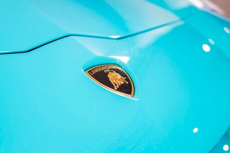 Lamborghini Aventador S ROADSTER. ONE OF ONE SPEC. AD PERSONAM. CARBON EXT. LIFT 28