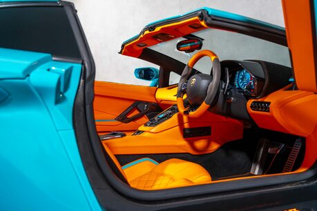 Lamborghini Aventador S ROADSTER. ONE OF ONE SPEC. AD PERSONAM. CARBON EXT. LIFT 19