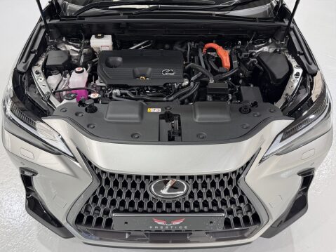 Lexus NX 350H 15