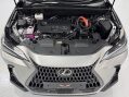 Lexus NX 350H 15