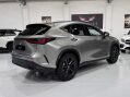 Lexus NX 350H 20