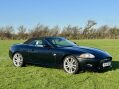 Jaguar XK CONVERTIBLE LOW MILEAGE FULL SERVICE HISTORY 7