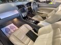 Jaguar XK CONVERTIBLE LOW MILEAGE FULL SERVICE HISTORY 14