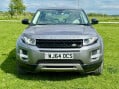 Land Rover Range Rover Evoque SD4 PRESTIGE LUX 8