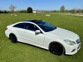 Mercedes-Benz E Class E220 CDI BLUEEFFICIENCY SPORT 16
