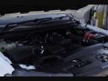 Ford Ranger 2.0 Ranger Wildtrak EcoBlue 4x4 Auto 4WD 30