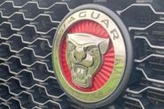 Jaguar F-Pace 2.0 D240 Portfolio Auto AWD Euro 6 (s/s) 5dr 11