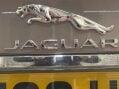 Jaguar XF 2.0d Prestige Euro 6 (s/s) 4dr 44