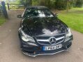 Mercedes-Benz E Class 2.1 E250 CDI AMG Line Cabriolet G-Tronic+ Euro 5 (s/s) 2dr 12