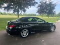 Mercedes-Benz E Class 2.1 E250 CDI AMG Line Cabriolet G-Tronic+ Euro 5 (s/s) 2dr 33