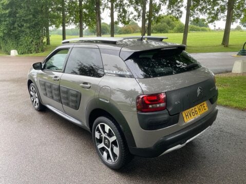 Citroen C4 Cactus 1.2 PureTech Rip Curl Euro 6 (s/s) 5dr 9