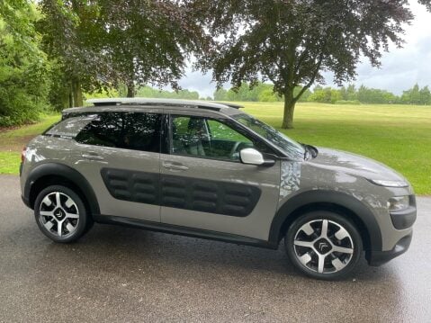 Citroen C4 Cactus 1.2 PureTech Rip Curl Euro 6 (s/s) 5dr 15