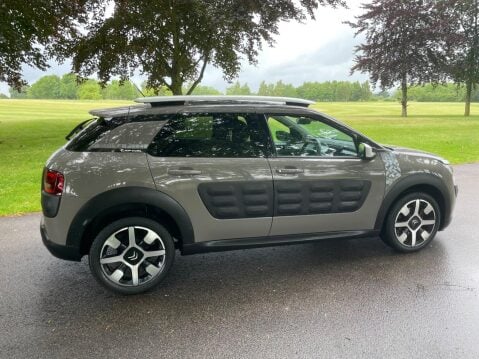 Citroen C4 Cactus 1.2 PureTech Rip Curl Euro 6 (s/s) 5dr 16