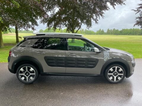 Citroen C4 Cactus 1.2 PureTech Rip Curl Euro 6 (s/s) 5dr 17