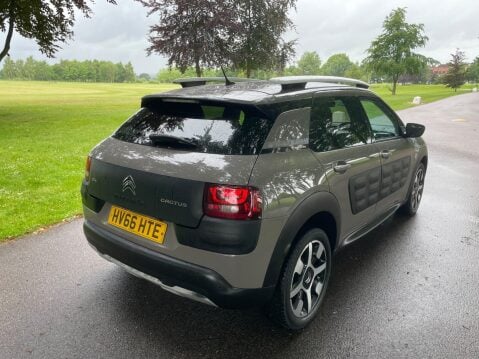 Citroen C4 Cactus 1.2 PureTech Rip Curl Euro 6 (s/s) 5dr 19