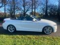 BMW 2 Series 2.0 220d M Sport Euro 6 (s/s) 2dr 24