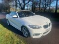 BMW 2 Series 2.0 220d M Sport Euro 6 (s/s) 2dr 8