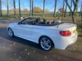 BMW 2 Series 2.0 220d M Sport Euro 6 (s/s) 2dr 14
