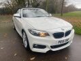 BMW 2 Series 2.0 220d M Sport Euro 6 (s/s) 2dr 12