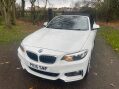 BMW 2 Series 2.0 220d M Sport Euro 6 (s/s) 2dr 17
